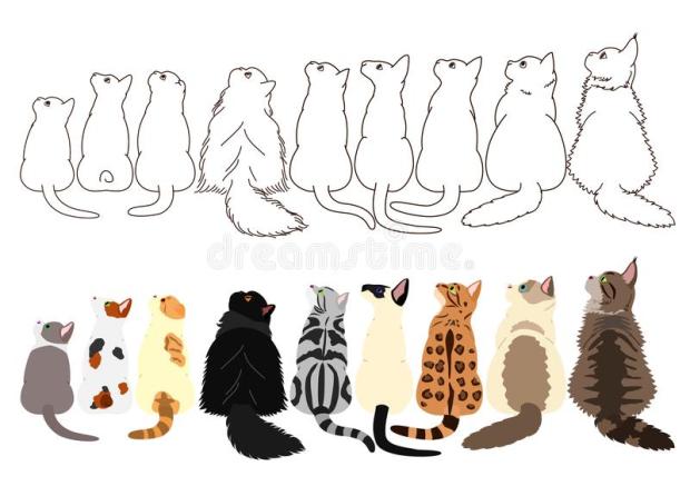 cats-looking-up-sideways-row-set-colors-monochrome-line-art-117702576
